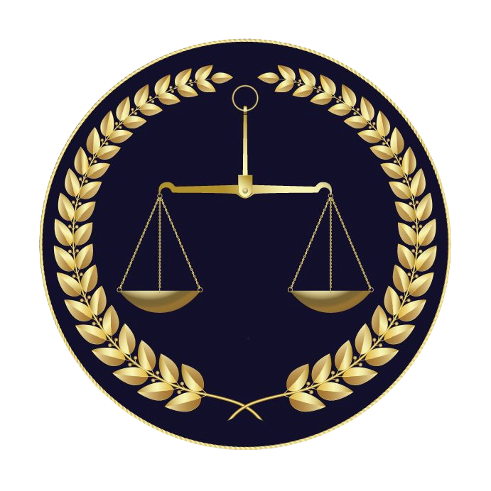 Концептуальная одежда Leform